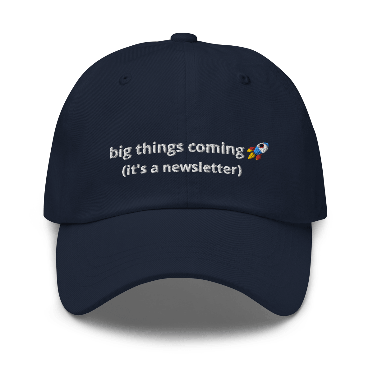 It's a Newsletter Dad hat - Thot Leader Labs