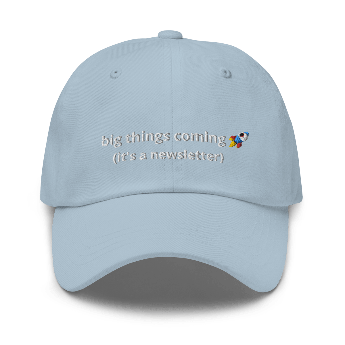 It's a Newsletter Dad hat - Thot Leader Labs