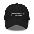It's a Newsletter Dad hat - Thot Leader Labs
