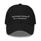 It's a Newsletter Dad hat - Thot Leader Labs