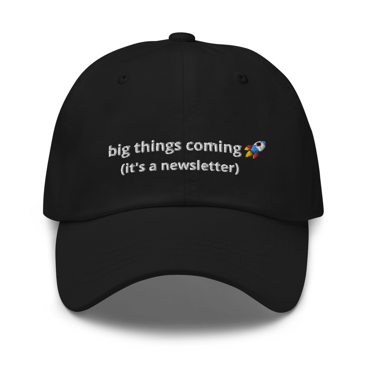 It's a Newsletter Dad hat - Thot Leader Labs