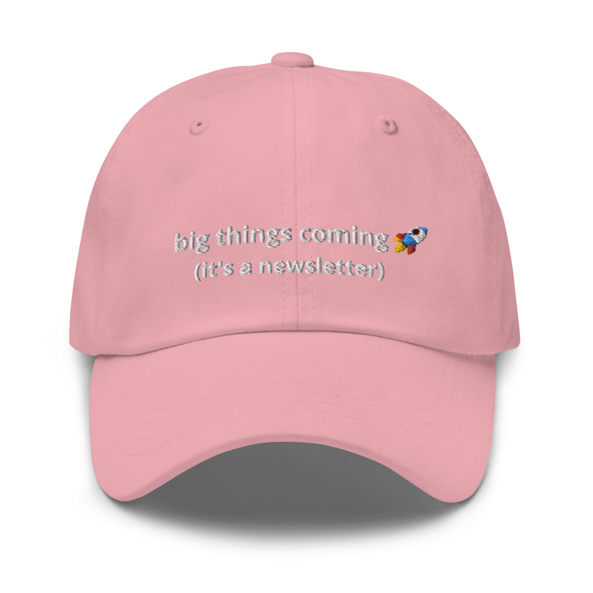 It's a Newsletter Dad hat - Thot Leader Labs