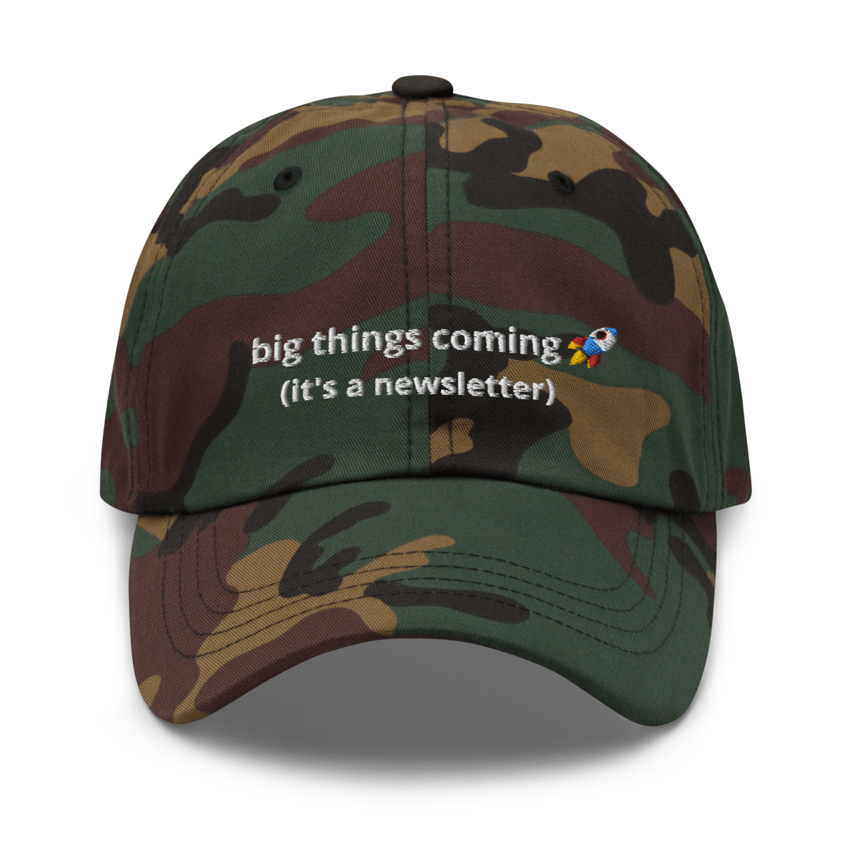It's a Newsletter Dad hat - Thot Leader Labs