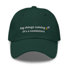 It's a Newsletter Dad hat - Thot Leader Labs