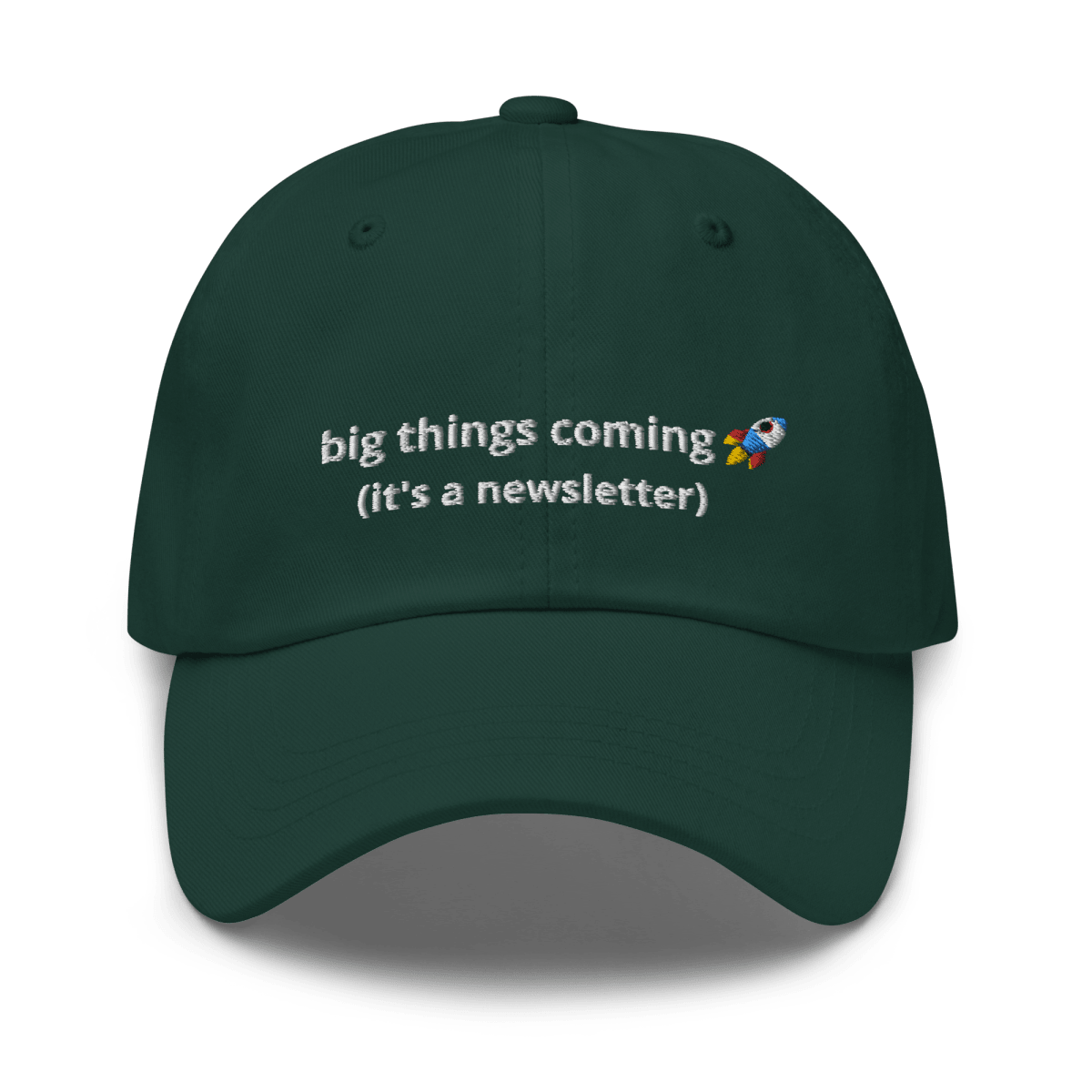 It's a Newsletter Dad hat - Thot Leader Labs