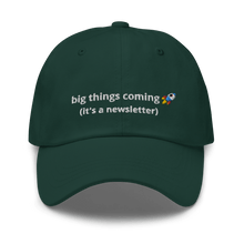Load image into Gallery viewer, It's a Newsletter Dad hat - Thot Leader Labs
